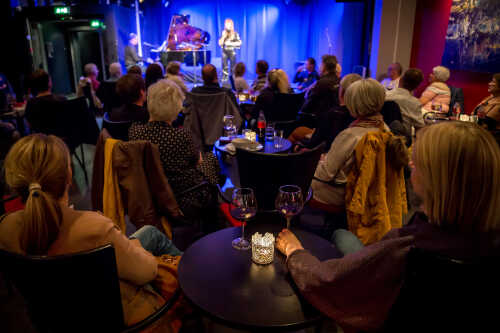 Bilde av publikum i Nordland Teater og artist på scenen.