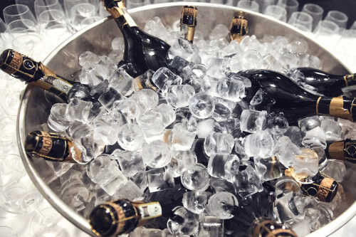 Champagnekjøler med champagne og is